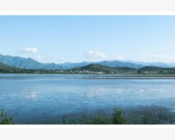 小儿调理肠胃的最佳食物推荐