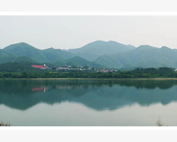 容易出汗怎么调理：中医科普指南